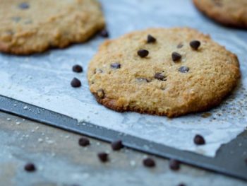 PaleoCookies