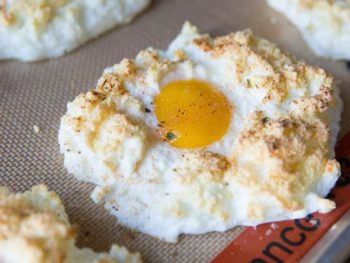 egg nests