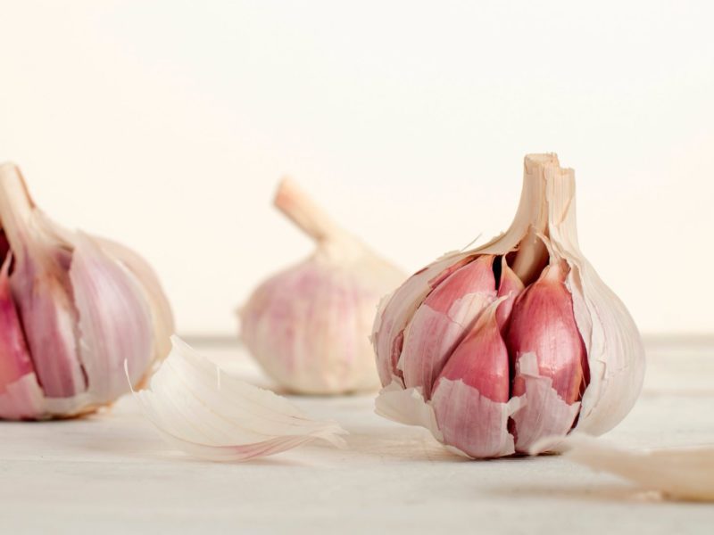 garlic
