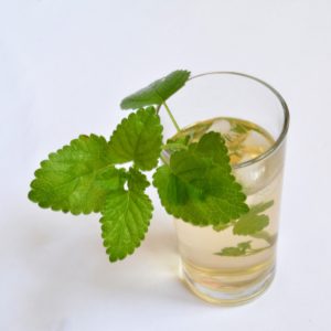 Benefits of Lemon Balm