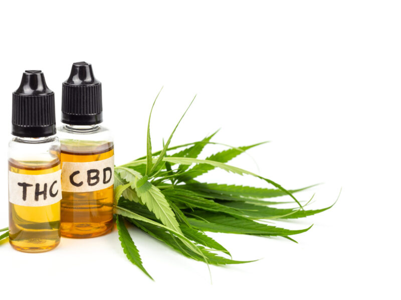 CBD Versus THC: 6 Things To Know