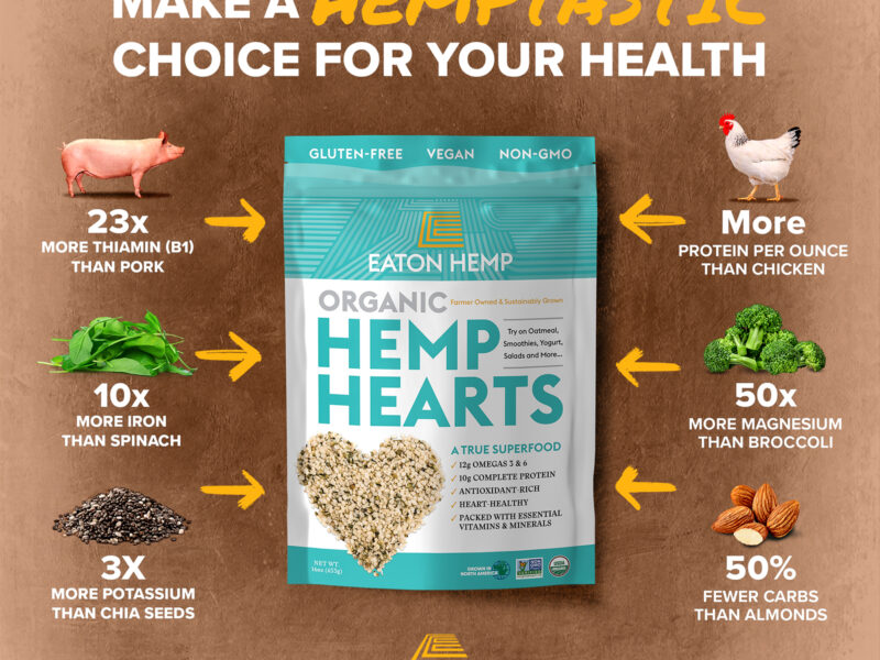 4 Reasons to Add Hemp Seeds To Your Life and How