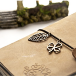 Mind-Body Connection: How Your Health Journal Can Help You Achieve Your Health Goals