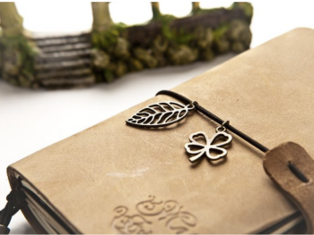 Mind-Body Connection: How Your Health Journal Can Help You Achieve Your Health Goals