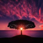 How Living Tree Memorials Inspire Self-Reflection and Spiritual Renewal