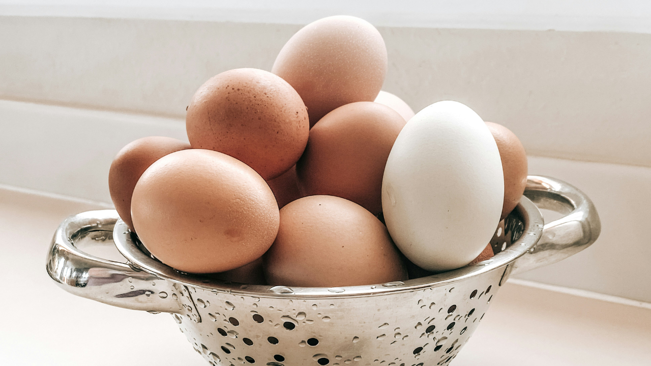 Which Egg Brands Are Known for Being High-Quality?