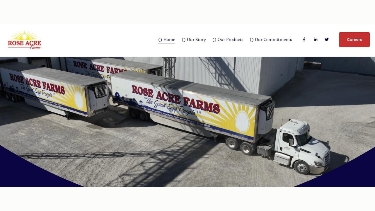 Best Egg Producers Across the USA