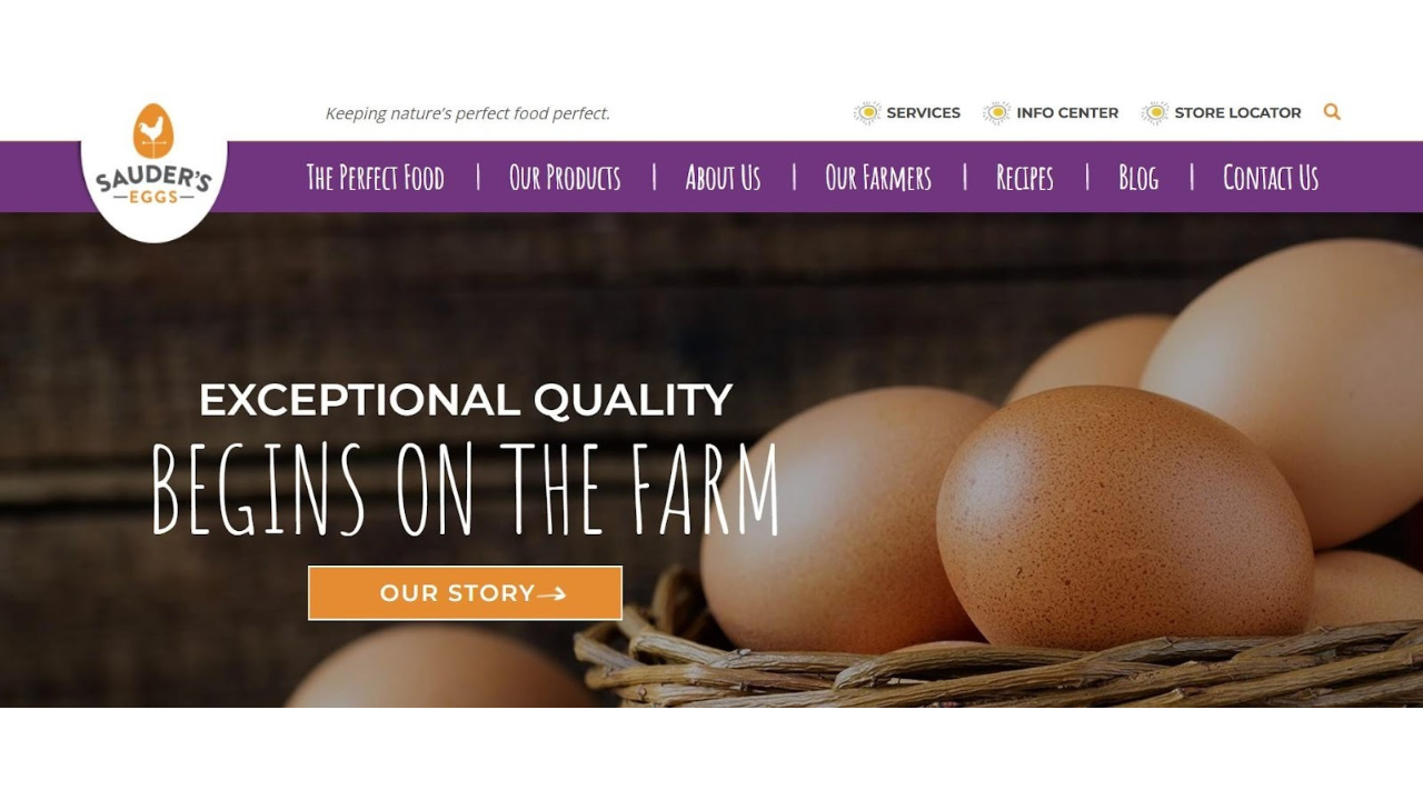 Best Egg Producers Across the USA