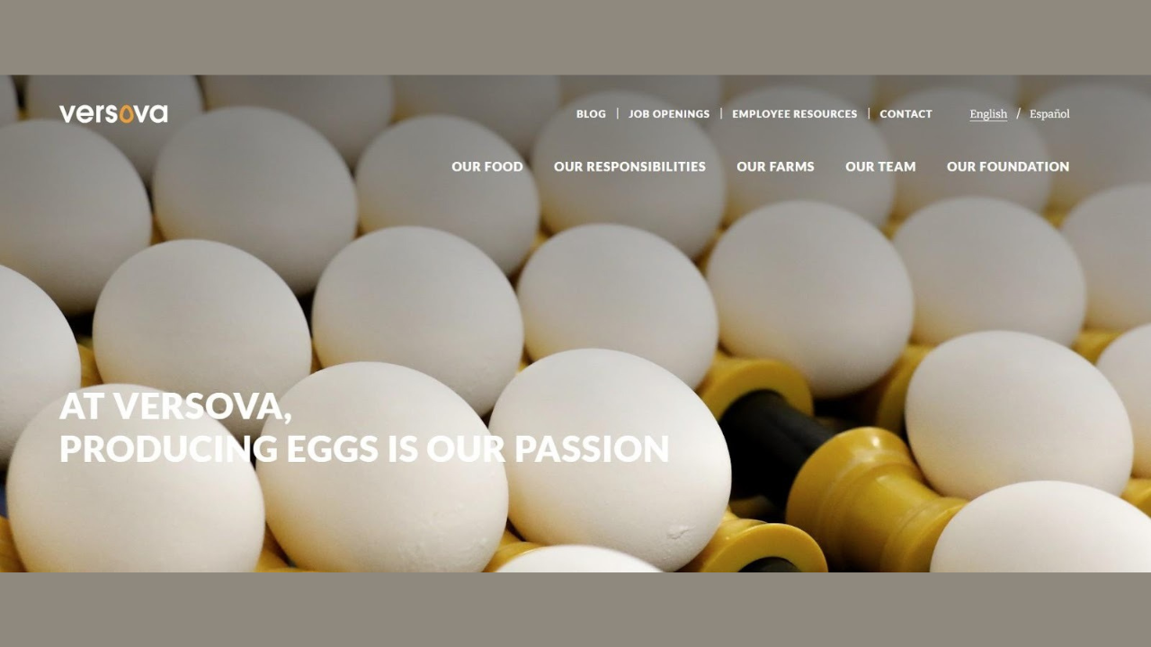 Best Egg Producers Across the USA