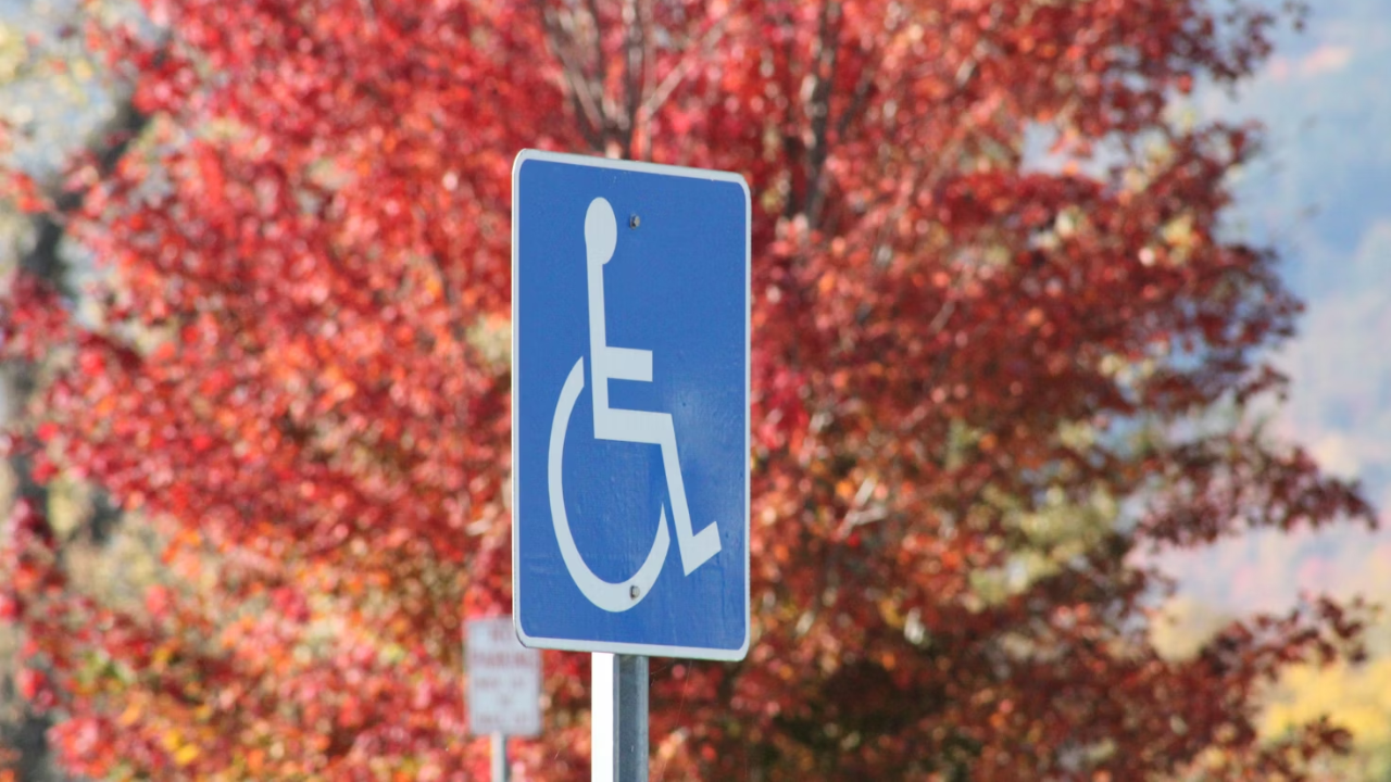 Top 4 Companies for Online Handicap Parking Permit Evaluations in 2026