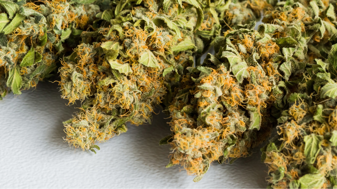 A Complete Guide To White Widow In Legal Markets