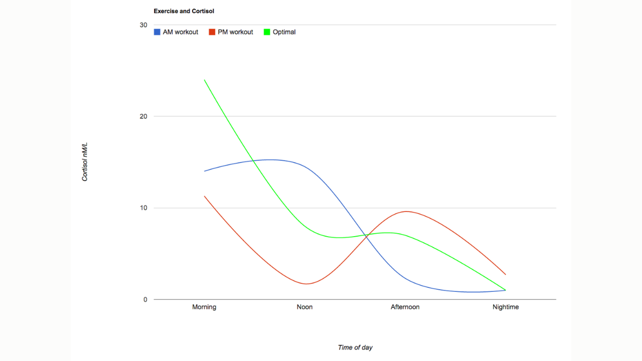 Stress, Cortisol, and Recovery: How Yoga Complements Your Paleo Fitness Routine